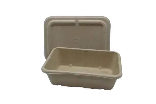 Bagasse Rectangle Box w/ Lid 650ml Mini (50pcs/pack)