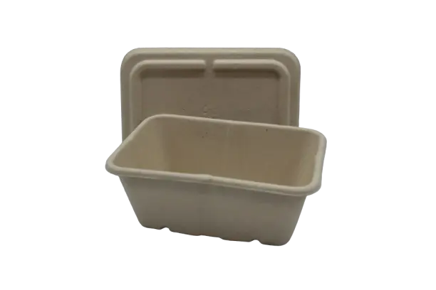 Bagasse Rectangular Box w/ Lid 900ml Small (50pcs/pack)