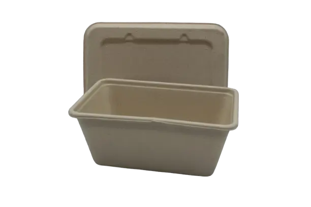 Bagasse Rectangle Box w/ Lid 1000ml Medium (50pcs/pack)