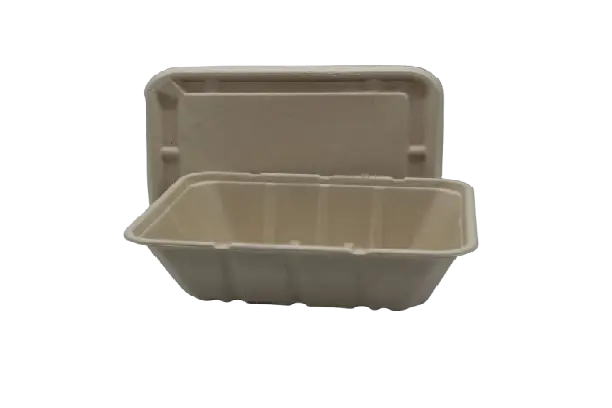 Bagasse Rectangle Box w/ Lid 2500ml XL (50pcs/pack)