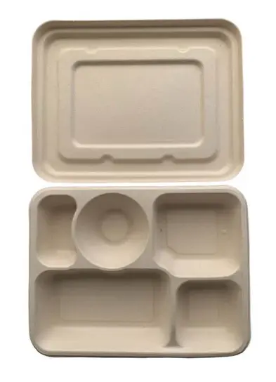 Bagasse Bento 5comp. (50pcs/pack) 