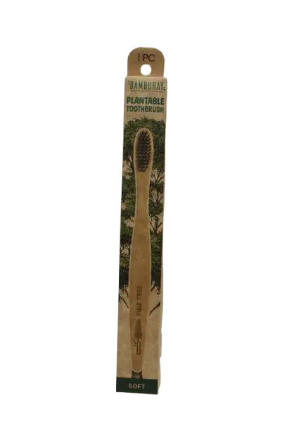 Plantablle Toothbrush in Paper Box-Pine Tree Seed 1pc.