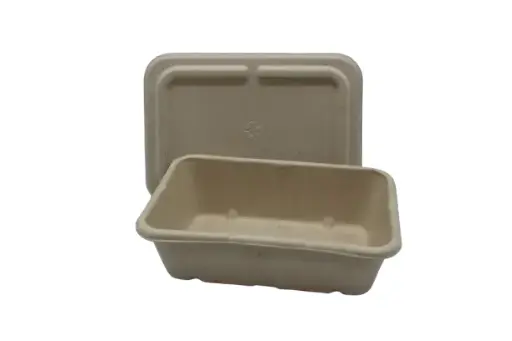 [ENO04FL] Bagasse Rectangle Box w/ Lid 650ml Mini (50pcs/pack)