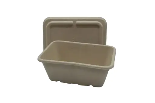 [ENO08FL] Bagasse Rectangular Box w/ Lid 900ml Small (50pcs/pack)