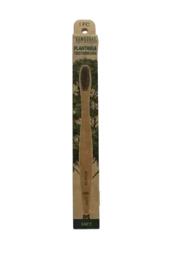 [PTPB-AC] Plantable Toothbrush in Paper Box-Acacia Seed 1pc.