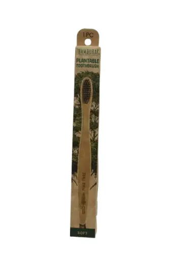 [PTPB-PT] Plantablle Toothbrush in Paper Box-Pine Tree Seed 1pc.