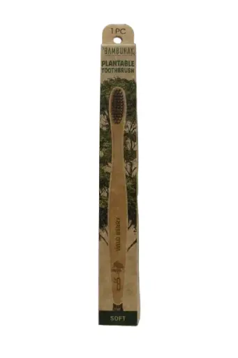 [PTPB-WB] Plantable Toothbrush in Paper Box-Wild Berry Seed 1pc.