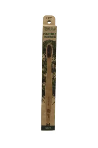 [PTPB-MM] Plantable Toothbrush in Paper Box-Mamalis Seed 1pc.